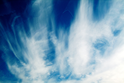 Image Concealment Films - MH Studios